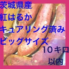 茨城県産 紅はるか 10キロ以内　ビッグサイズ　さつまいも