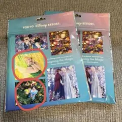東京ディズニーリゾート イマジニング ピーターパン　ティンカーベル巾着