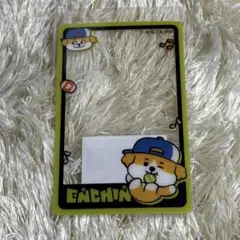 ENHYPEN ENCHIN ポップアップ購入特典クリアフォトカード ジェイク