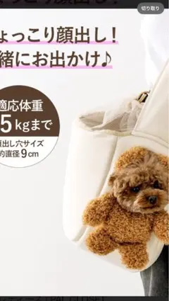 【新品】3COINS ひょっこり顔出しバッグ　本日発売商品♡※オンライン完売商品 3COINS スリーコインズ ひょっこり顔出しベアバッグ ブラウン - メルカリ