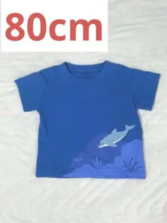 Item thumbnail for item d517a55c-027e-4e0c-9a7d-8226dd55fc2e