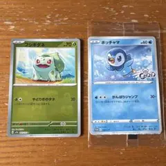 ポッチャマ：プロジェクトポッチャマ プロモカード 151フシギダネマスターボールのサムネイル