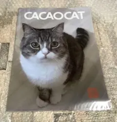 2026年最新】もちまる クリアファイルの人気アイテム - メルカリ