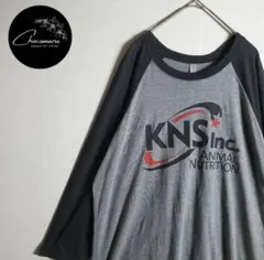 ラグランTシャツ 七分袖 英字プリント 企業 Y2K グレー ビンテージ 古着のサムネイル