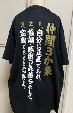 tシャツレディース　Ｌサイズsalgear
