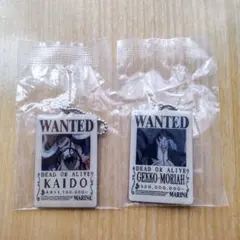 ワンピース ウォンテッドプレート2点セット(ゲッコーモリア、カイドウ)