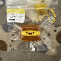 스퀴즈