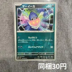 【在庫15】マーイーカまとめ買いのサムネイル