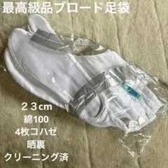 Item thumbnail for item 24ff4f90-0c45-4247-8641-095d1b8cd64b