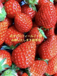 必ずプロフィールご一読お願いたします様専用