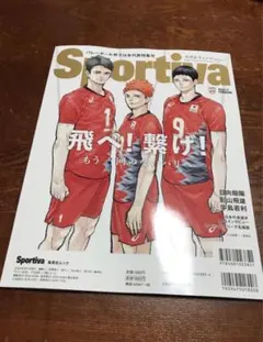 【8月末まで値下げ】Sportiva ハイキュー　バレーボール男子日本代表特集号