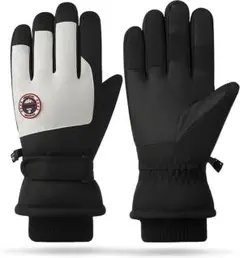 Item thumbnail for item 3e21dd41-d802-4d35-b479-966c515d89d5