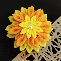 Item thumbnail for item c3b95795-400a-4cef-9a05-41edda276424