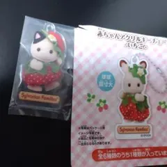 シルバニア　 赤ちゃんアクリルキーチェーン　チャコールネコの赤ちゃん
