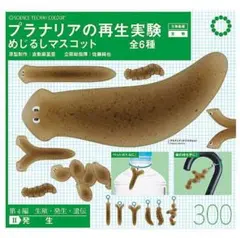 新品未開封☆全6種 プラナリアの再生実験 めじるしマスコット