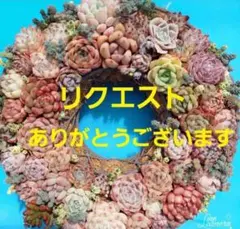 たんこちゃん様 リクエスト 3点 まとめ商品