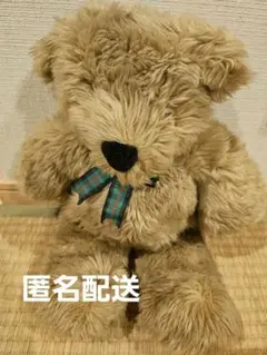 2026年最新】ノースアメリカンベアの人気アイテム - メルカリ