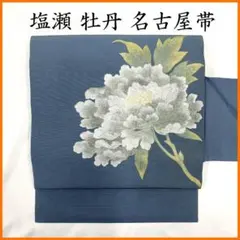 ぴよぴょん様 お値下げ❗️【名古屋帯】絽 夏帯7267 ぴよぴょん様 お値下げ❗️【名古屋帯】絽 夏帯7267 - メルカリ