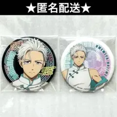 windbreaker ウィンブレ　サイバーチャイナ　缶バッジ　梅宮一