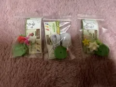 さっちん様専用