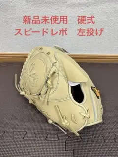 Item thumbnail for item 228f2bd4-fcbc-4053-91af-aa84d09fe3f2