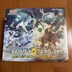 【新品未開封】スノーハザード&クレイバースト ポケモンセンター・ジムセット