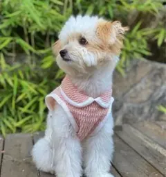 いおいお様 リクエスト 3点 まとめ商品