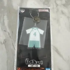 ハイキュー!! アクリルキーホルダー 番号4