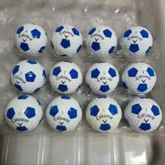 ロストボール ERC SOFT TRUVIS 最新 12球のサムネイル