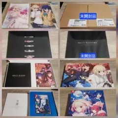 2026年最新】melty blood type lumina 初回限定の人気アイテム - メルカリ