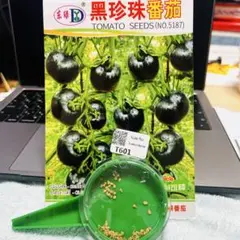 Taka様 リクエスト 3点 まとめ商品