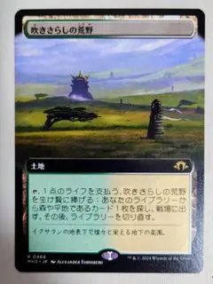 MTG《吹きさらしの荒野/Windswept Heath》日本語 MH3フェッチ - メルカリ