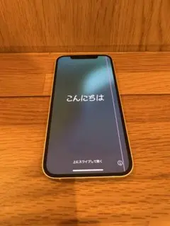 iPhone12 白 256GB 本体　SIMフリー　Apple Store