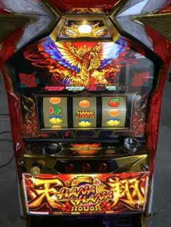 【売りたいので大幅値下げです】ハナハナ鳳凰 プレミアムパネル 2025年最新】ハナハナホウオウの人気アイテム - メルカリ