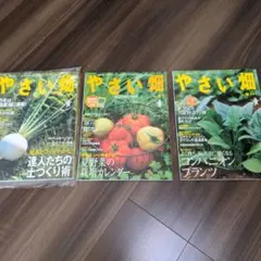 Item thumbnail for item fdd35c8b-dd95-4dcb-b53f-c6c216360237