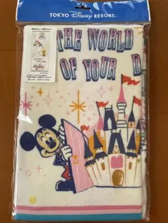 ディズニーランド、フェイスタオル、ミッキー、ミニー