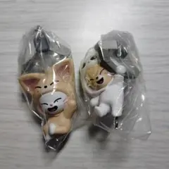 SKZOO つまんでつなげてますこっと vol.2 セット売り