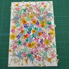 ピーちゃん☆様 リクエスト 2点 まとめ商品