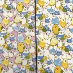 FUWARI 綿プリント　オックス　セキセイインコ　ピンクとオフホワイト￼
