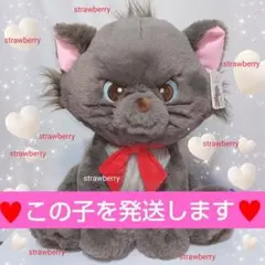 ★ベルリオーズ♥　特大ぬいぐるみ　ブランケット付き♥　マリーちゃん　コストコ