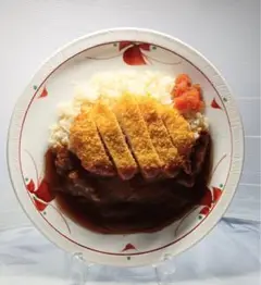 食品サンプル カツカレー 25cm 業務用 販促 ディスプレイ インテリア 置物