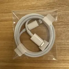 iPhone付属品 充電器 純正 タイプCライトニングケーブル Apple正規品