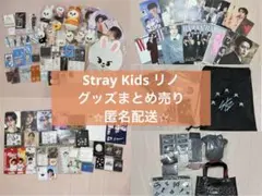 straykids スキズ リノ まとめ売り セット トレカ - メルカリ