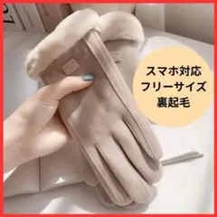 裏起毛 手袋 スマホ対応 レディース 防寒 冬用 あったか グローブ