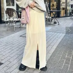 Kastane チュールベロアスカート