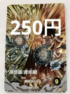 Syu_xxx様 リクエスト 2点 まとめ商品