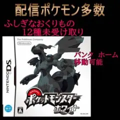 ポケットモンスターホワイト
