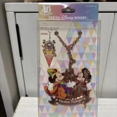 東京ディズニーリゾート ミッキー ミニー キーホルダー