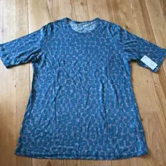 Item thumbnail for item 2403da56-0d2a-4517-9af4-2bbcc1f606f7