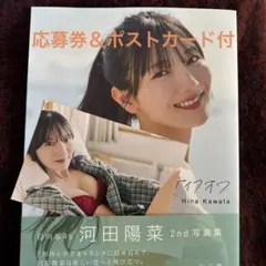 河田陽菜 タレント写真集